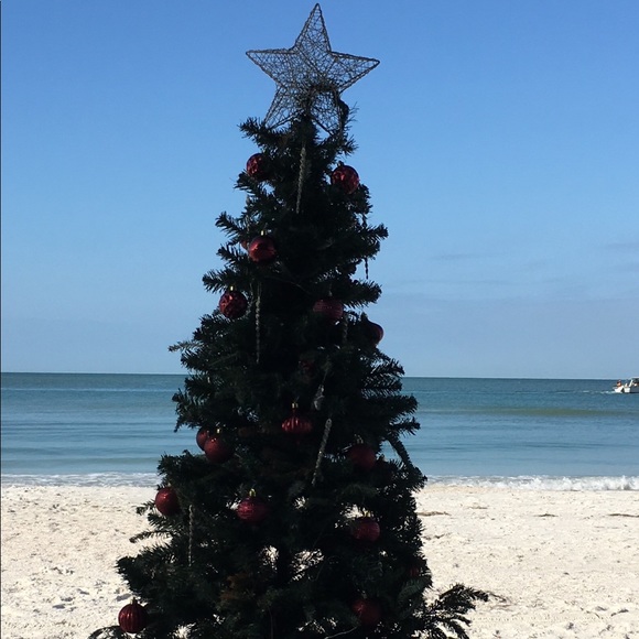 Merry Christmas from Florida